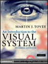 An Introduction to the Visual System